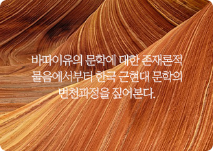 한국 근현대문학사의 지층탐색